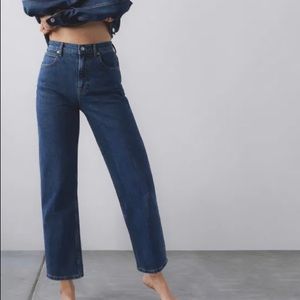 Everlane Way High Jean